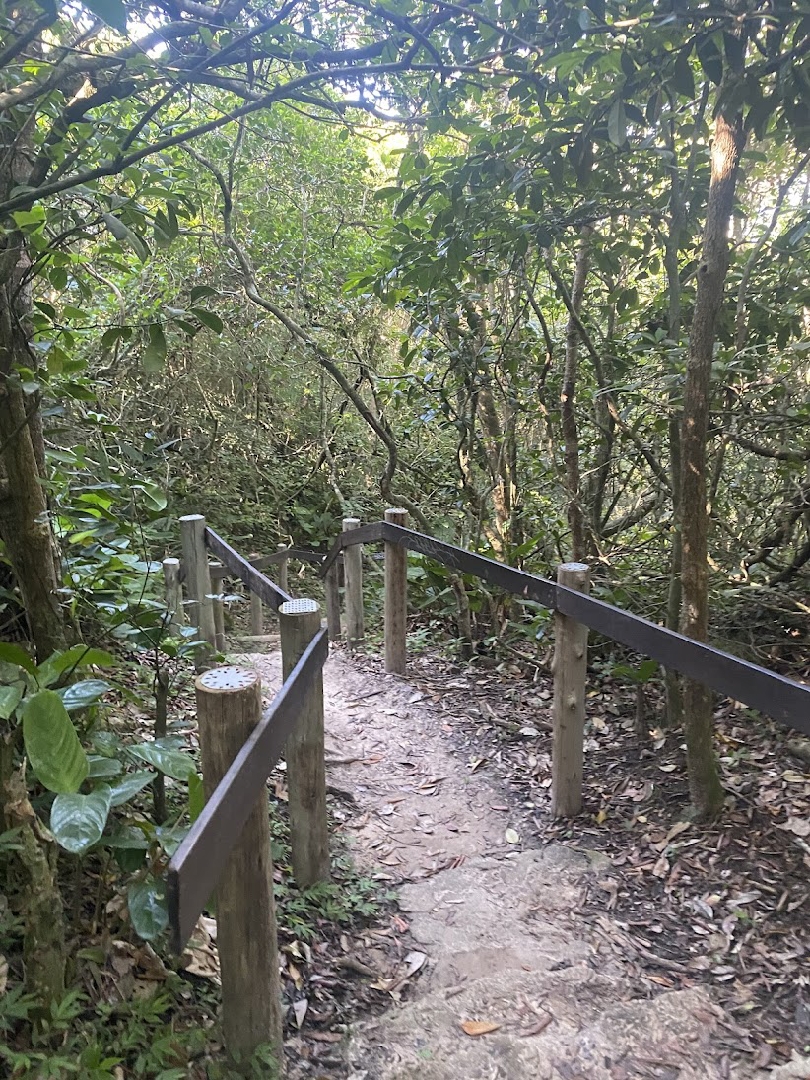 Trilha da Praia Vermelha